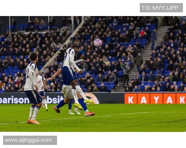 2019年11月4日埃弗顿对阵热刺的精彩对决回顾与分析